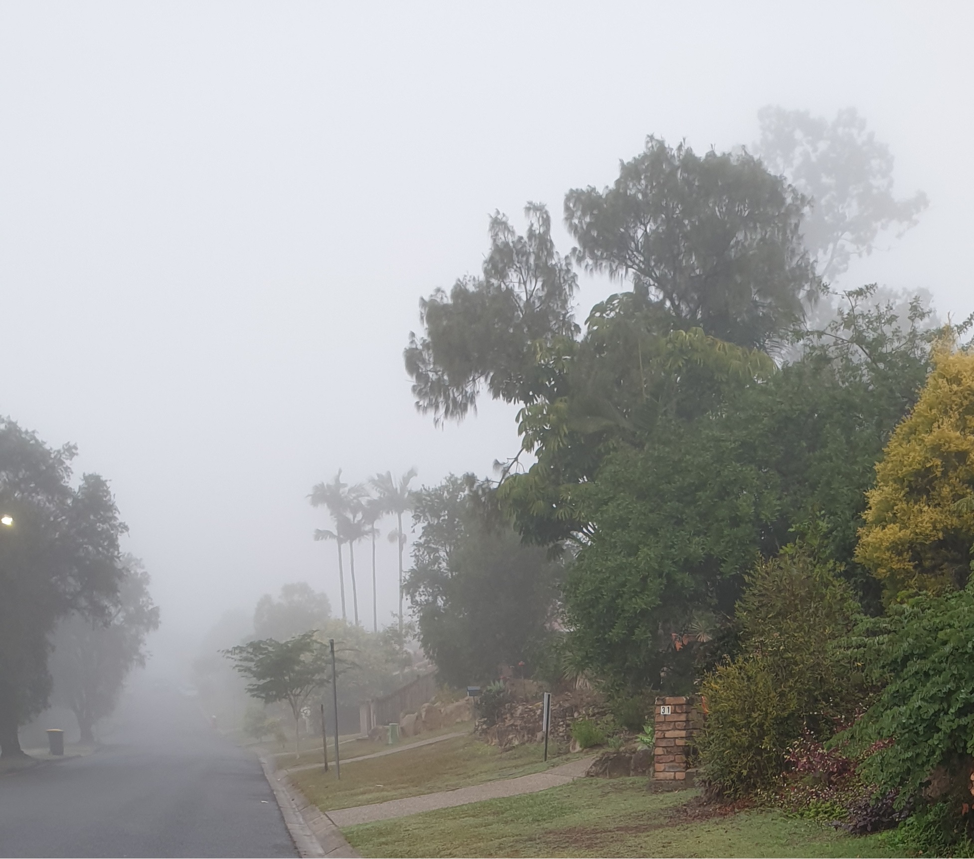 foggy path ahead